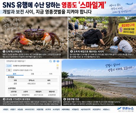 SNS 유행에 수난 당하는 영종도 ‘스마일게’…무분별 채집에 서식지 훼손 우려
